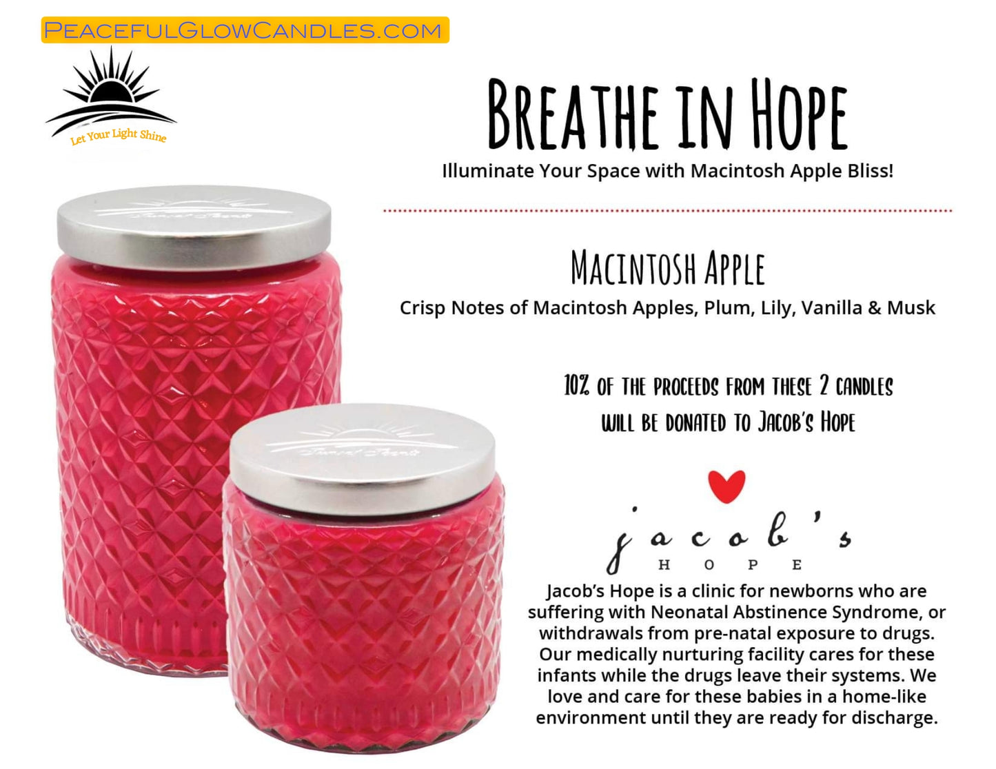 Macintosh Apple Scented Specialty Candle, Limited Edition