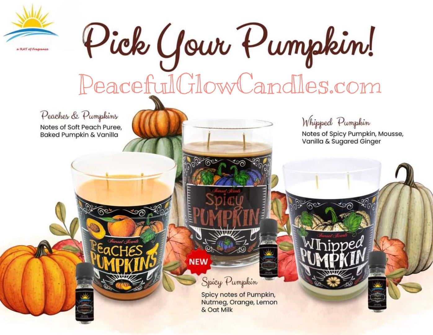 Whipped Pumpkin Scented Candle, Limited Edition